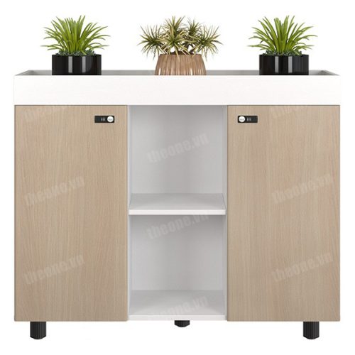 theonevn-NTV1000-3T2